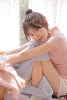 完美的妻子